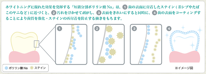 ポリリン酸Naを使った最新ホワイトニング